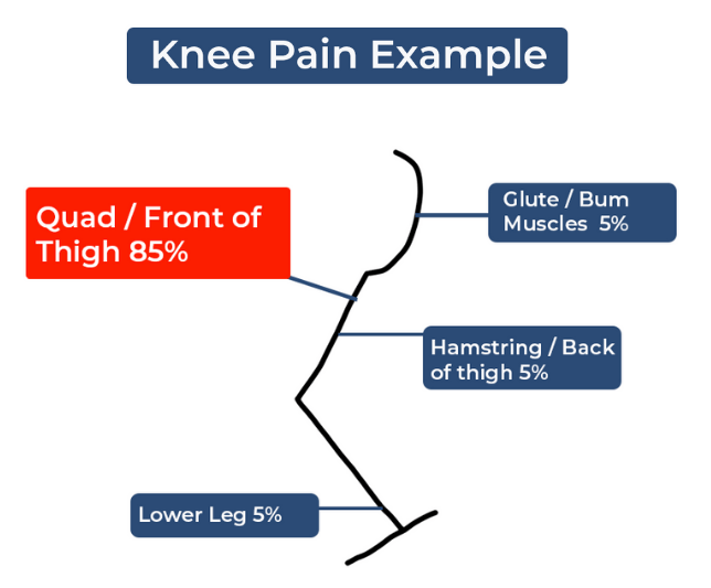 Structure of the shoulder joint