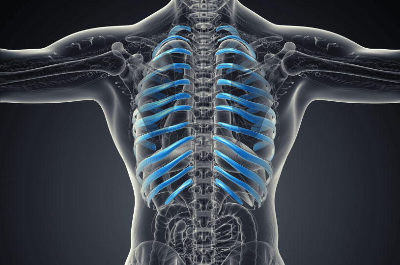 Ribcage How To Beat Your Lower Back Pain How To Beat Your Lower Back Pain